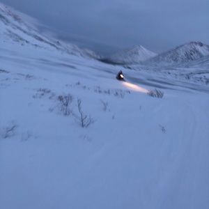 Meet your Posher, Brandi